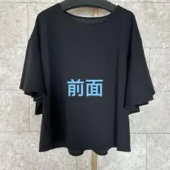半袖トップス　ブラック　フリーサイズ