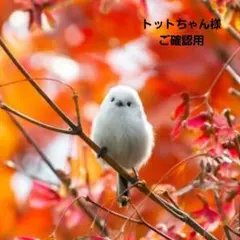 トットちゃん様ご確認用(消しゴムはんこ 絵ハガキ)