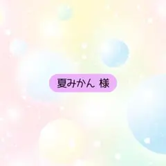 夏みかん様 リクエスト 2点 まとめ商品