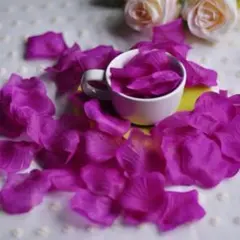 Item thumbnail for item 6413c7cf-10db-44e0-b213-c4f1266251c4