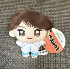 ハイキュー ぬいぷりけ mini2 及川徹 マスコット