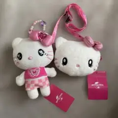 ユニバ　USJ ハローキティ　Y2K ぬいぐるみ　ポシェット　チケットホルダー