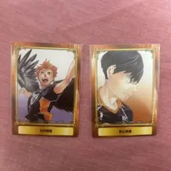 Item thumbnail for item 7d796329-ec86-4dd3-a825-5525792034bf