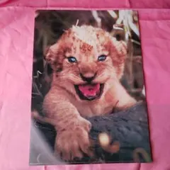 Item thumbnail for item 637a28ec-9092-49ed-bc51-a5b37fc7104e