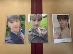 【まとめ売り】SEVENTEEN セブチ ディノトレカ