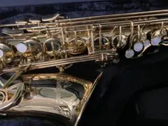 2025年最新】antigua 3100の人気アイテム - メルカリ