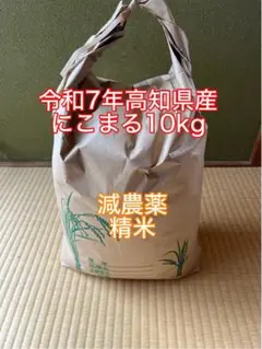 コスパ】まんぷく応援米 福岡県産米 20kg米 20キロ 白米 送料無料