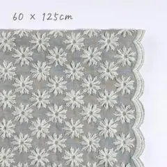 Item thumbnail for item 5fb6c8dd-876e-4765-99cc-e8815bf98329