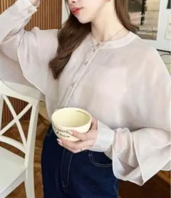 【新品】moment+ シアー楊柳ラッフルスリーブブラウス M