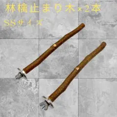 林檎止まり木（SS）058