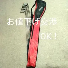 Mizuno E-10 アイアンセット IGNIOバッグ付のサムネイル