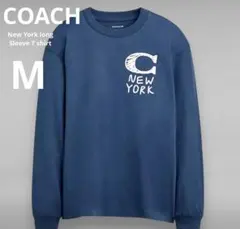 Item thumbnail for item 951d9523-d23b-448a-a6ce-2d06039cb666