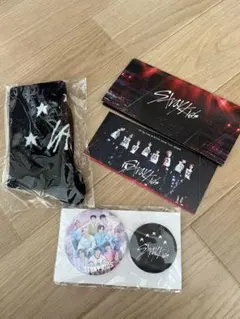 Stray Kids スキズ 5-STAR アプグレ　グッズ