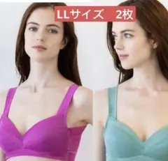 ブラジャー　美人工房　ノンワイヤーブラ 2枚セット　LL