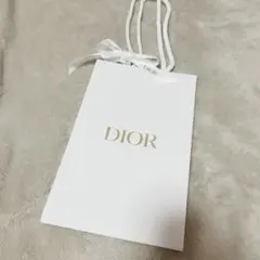Dior ロゴ入り 中型紙袋