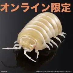 いきもの大図鑑アドバンス アルビノダンゴムシ 重塗装版 オンライン版のサムネイル