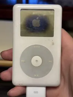 Apple iPod 30GB 本体 第5世代 ジャンク - メルカリ