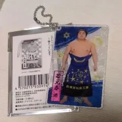 大相撲アクリルトレカ　キーホルダー　若元春関