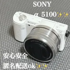 SONY α5100ミラーレス一眼　カメラパワーズームレンズ