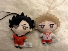 ハイキュー かぷっこふれんず