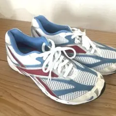 Reebokリーボック)Taikan IB 183452スニーカー24.5cm