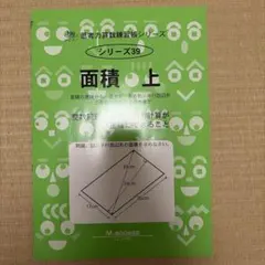 サイパー　39 面積上