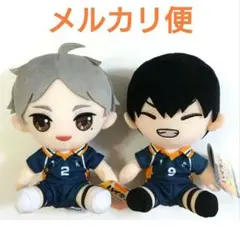 【菅原孝支／影山飛雄 (にっこり) 】ハイキュー!!オリジナルぬいぐるみ