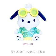 ポチャッコ ぬいぐるみ チャーム　サンリオ Happy くじ ナイトプール