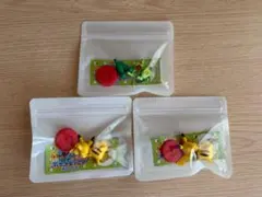 ポケットモンスター 旅立ちの3匹 チョコエッグ　ピカチュウ　キモリ