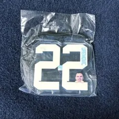 川崎フロンターレ 가챠 22 ウレモヴィッチ