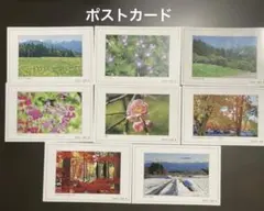 Item thumbnail for item 22d3a070-97df-4e8d-a435-50084ec1e7ca