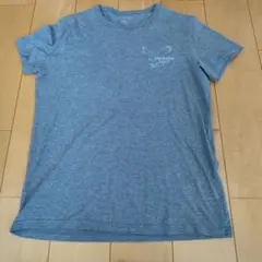 AMERICAN EAGLE メンズTシャツ