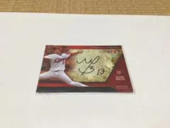 Envy never enriched様 リクエスト 2点 まとめ商品