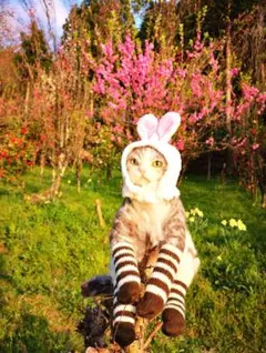 Item thumbnail for item 199d5a84-1ffb-4b1f-801d-88c175f16ebb