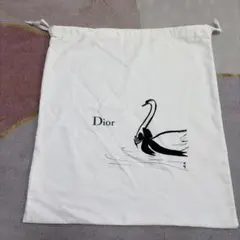 【未使用】DIOR ディオール 保存袋 収納袋 巾着袋　レディーディオール
