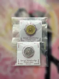 セーラームーン Pretty Guardians FC限定 継続特典