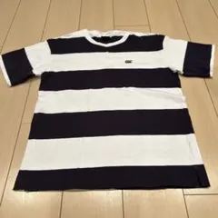 Canterbury ボーダー Tシャツ ネイビー×ホワイト　サイズMのサムネイル