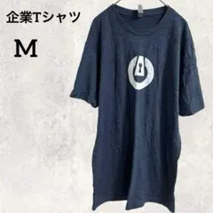 Item thumbnail for item 97e5cae9-b3e9-4df4-973d-aa4a44762ea6