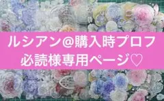 ルシアン@購入時プロフ必読様専用ページ♡