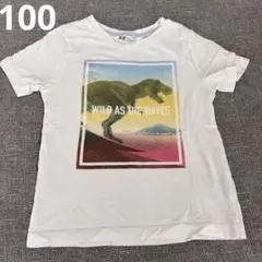 H&M 恐竜プリント Tシャツ 98/104