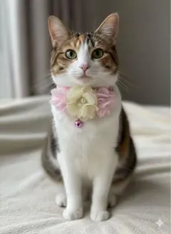 Item thumbnail for item 8a146129-a679-4771-82e6-c6127a1f5147