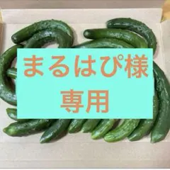 まるはぴ様専用