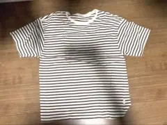 sportswear inherit別注　インヘリット　 ボーダー