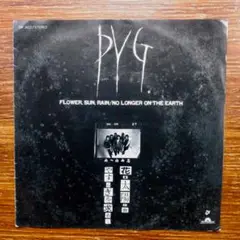 PYG / 花・太陽・雨　　EPレコード　　沢田研二