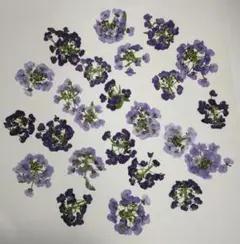 moeeri様 リクエスト 4点 まとめ商品