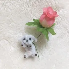 ビジョンフリーゼ 仔犬  モールアニマル