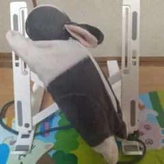 うさぎ ぬいぐるみ ポーチ 小物入れ グレー