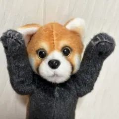 たっちぃZoo レッサーパンダ ぬいぐるみのサムネイル