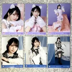 LOVE イコラブ 野口衣織 猫衣装 封入 貴族衣装 生写真まとめ売り