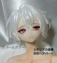 わ*わ様 海外ディーラー様作 シチリアの追憶対応ヘアパーツ ②